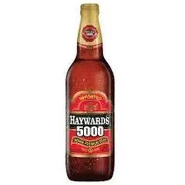 HAYWARD 5000 22OZ